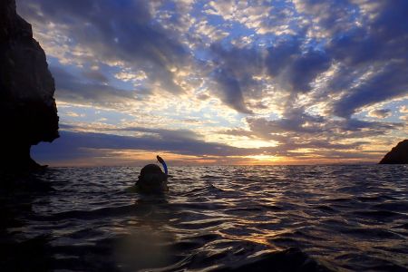 day-05-sealions-snorkel-01.jpg