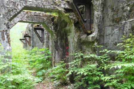 Remnants of Treadwell Mine