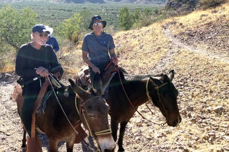 day-02-burros-04.jpg