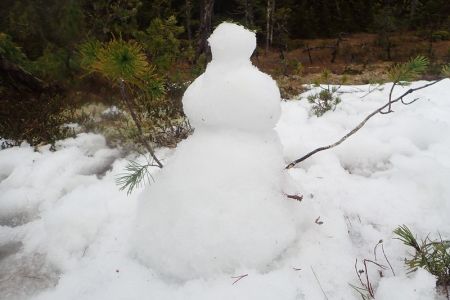 Tichelle's snowman