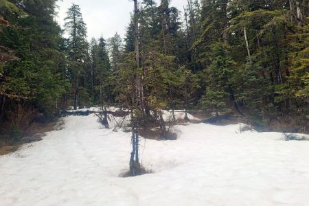 Heading up to the muskeg