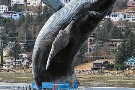 Tahku, the Juneau whale
