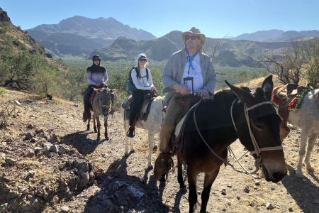 day-02-burros-05.jpg