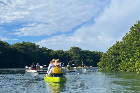 day-04-mangroves-11.jpg