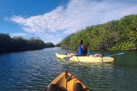 day-04-mangroves-15.jpg