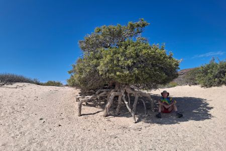 day-05-hike-04.jpg