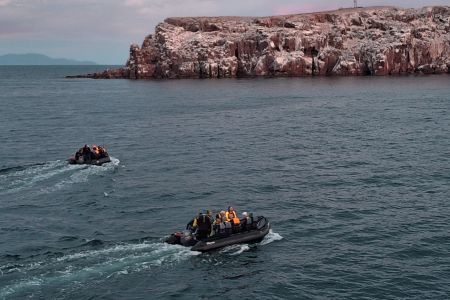 day-05-sealions-skiff-00.jpg