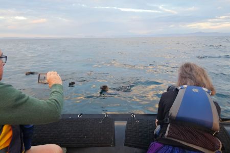 day-05-sealions-skiff-01.jpg