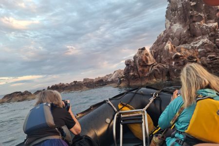 day-05-sealions-skiff-09.jpg
