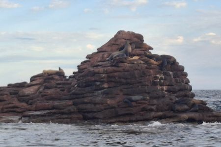 day-05-sealions-skiff-14.jpg