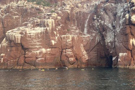 day-05-sealions-snorkel-02.jpg