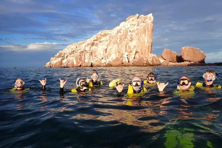 day-05-sealions-snorkel-08.jpg