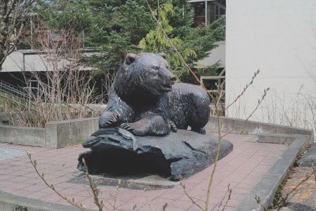 Juneau watchdog