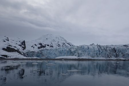 Lamplugh Glacier