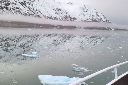 Passing icebergs