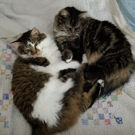 Sprocket & Gizmo